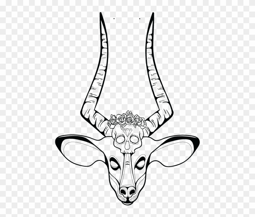 Honours Blog Clare Sommerville January I Created Clipart