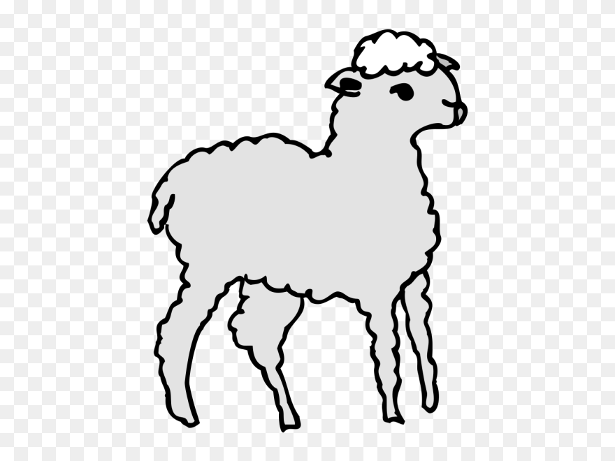 Drawn Lamb Fluffy Sheep Clipart