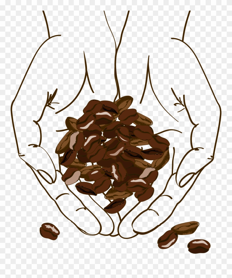 Clip Art Cafe Brown Holding Beans - Png Download