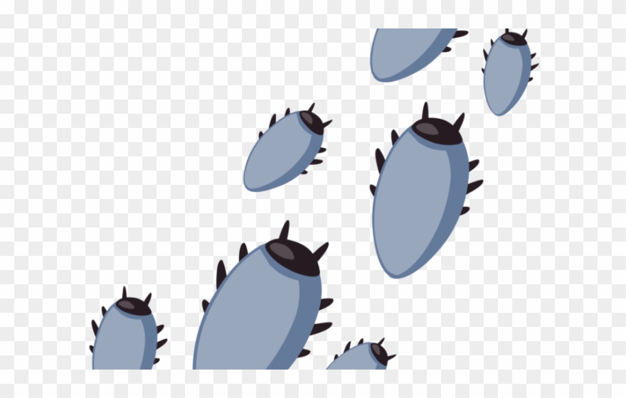Bugs Clipart Tick - Png Download
