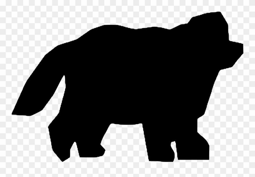 All Photo Png Clipart Transparent Png