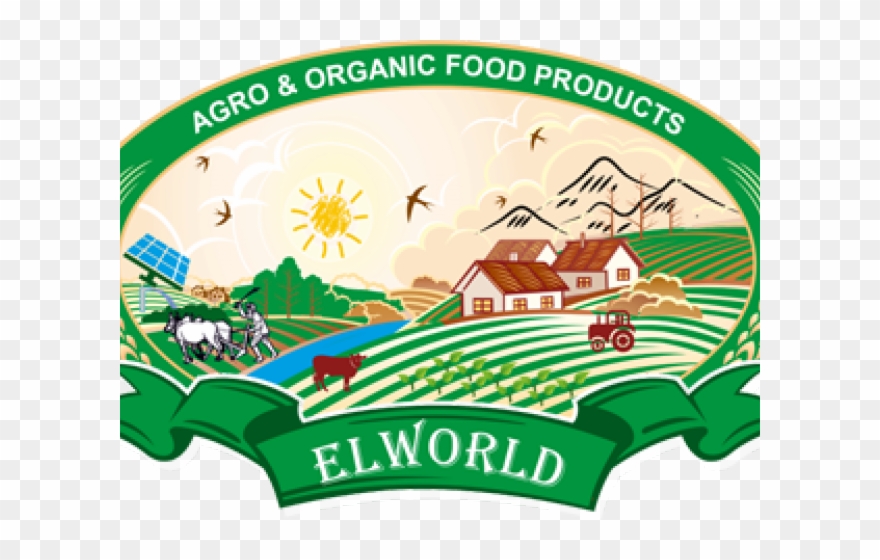 Grain Clipart Organic Food - Png Download