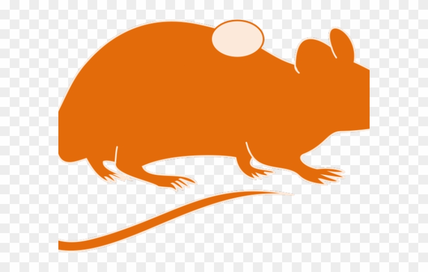 Rat Clipart Four - Png Download