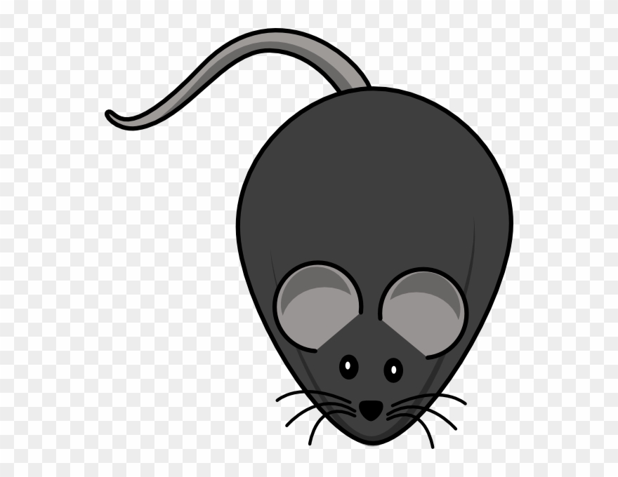 Rat Clipart - Png Download