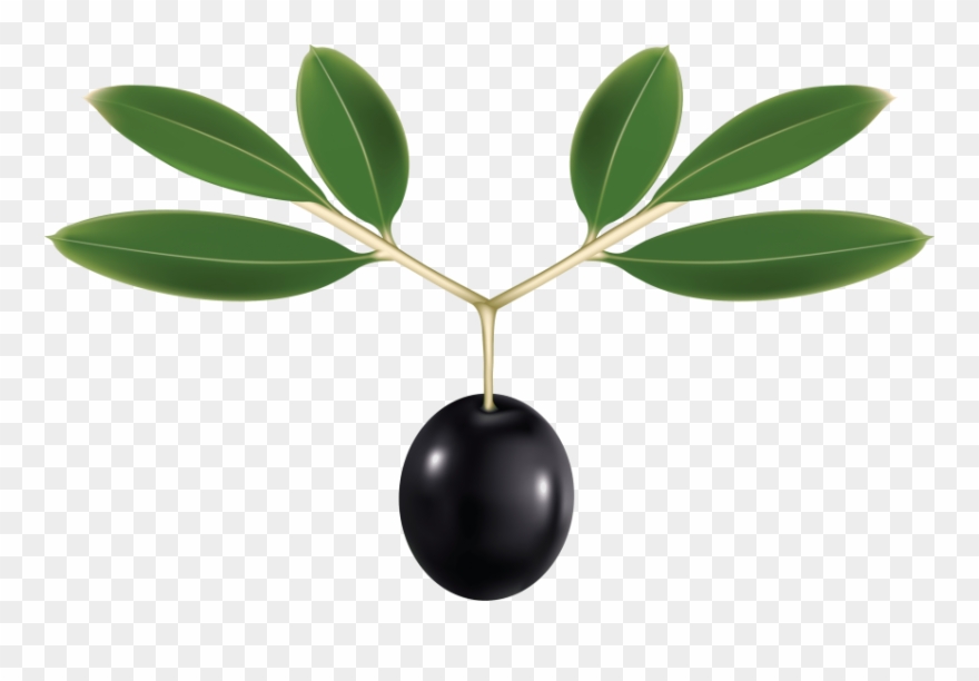 Free Png Download Olives Clipart Png Photo Png Images Transparent Png