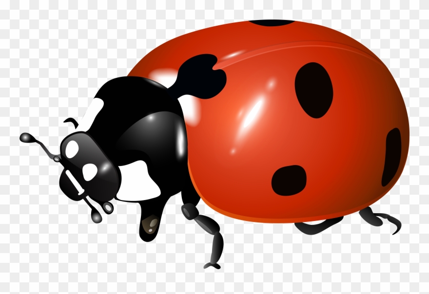 Ladybug Clipart Scripture - Png Download