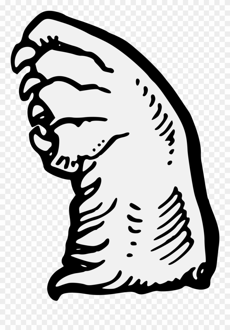 Bear's Jambe Clipart