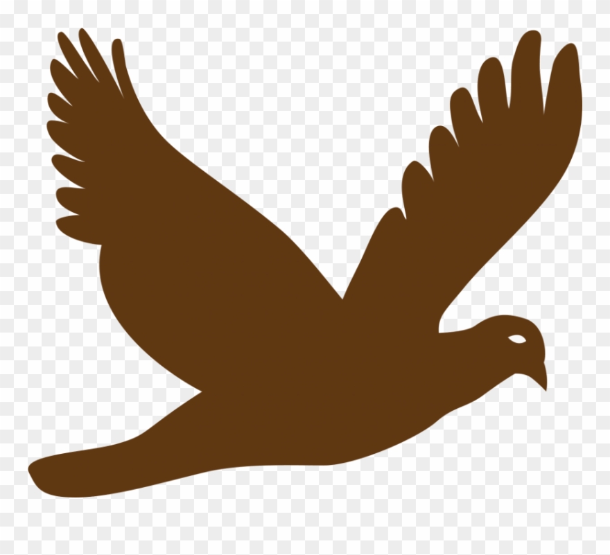 Free Png Download Flying Bird Png Images Background Clipart