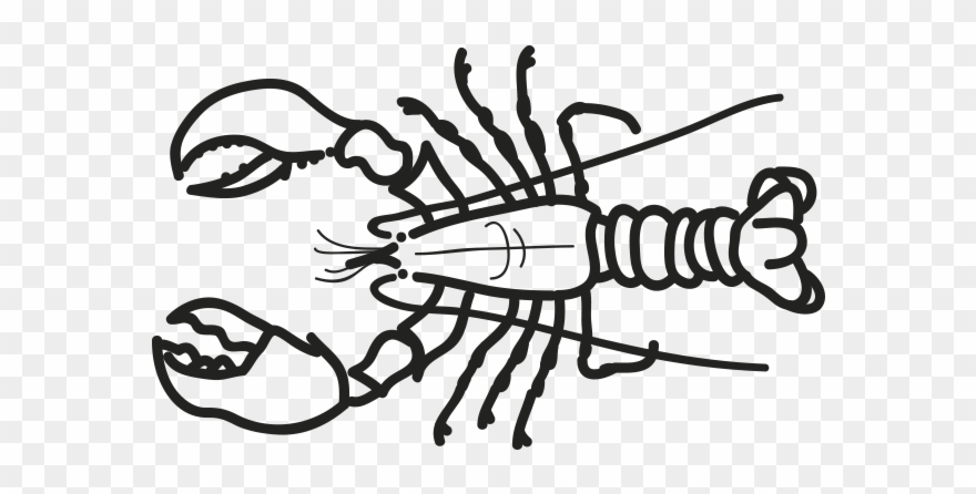 Marisco Bogavante Canadiense Homarus Americanus Clipart