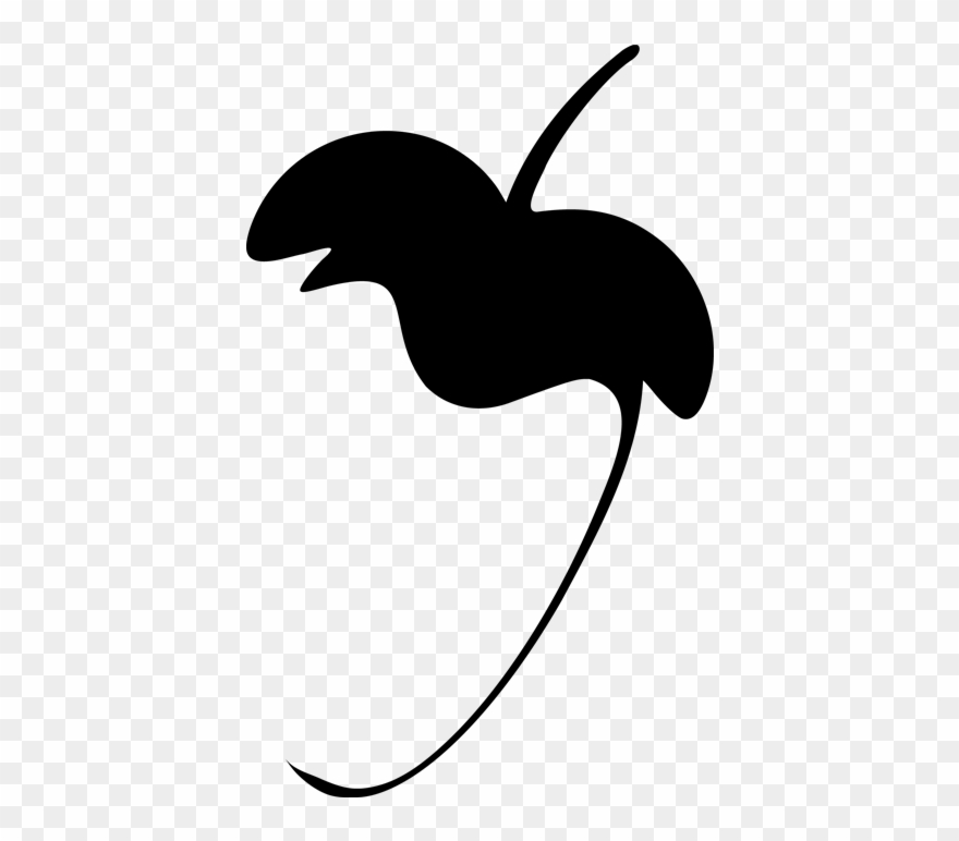 49, 3 January 2017 Clipart