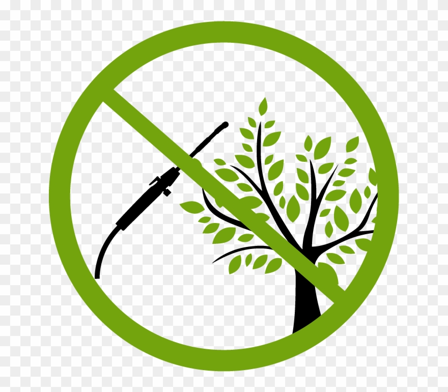 Shop Clipart