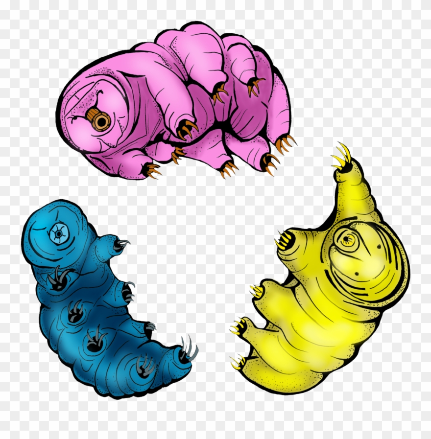 Amy Davis Rothverified Account @surlyamy Clipart