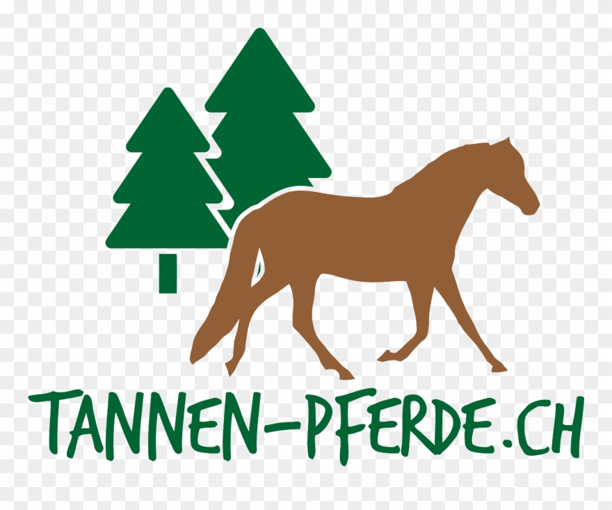 11 - 02 - 19 - Aktuell Momentan Haben Wir Keine Freien Clipart