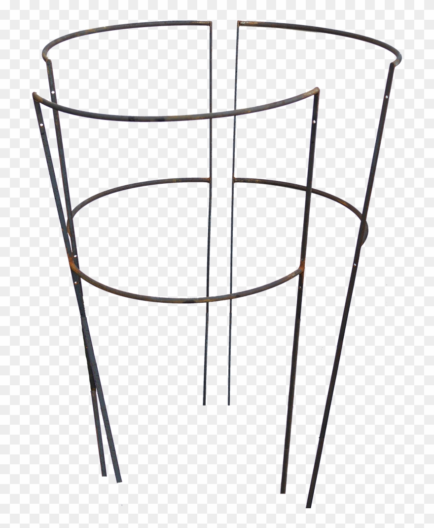 1526 Staudenfreund D 50 3-teilig Clipart