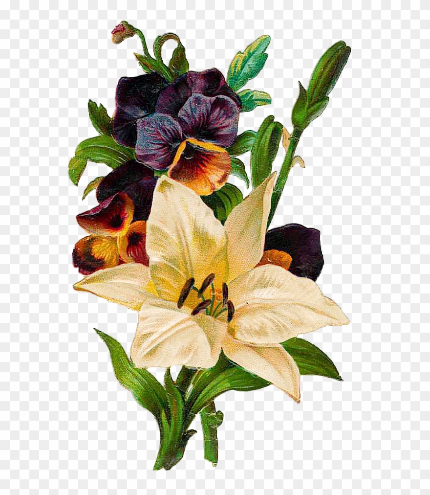 Use Mouse Wheel To Scroll Clipart