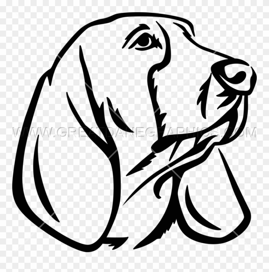 Basset Hound Clipart Head - Png Download