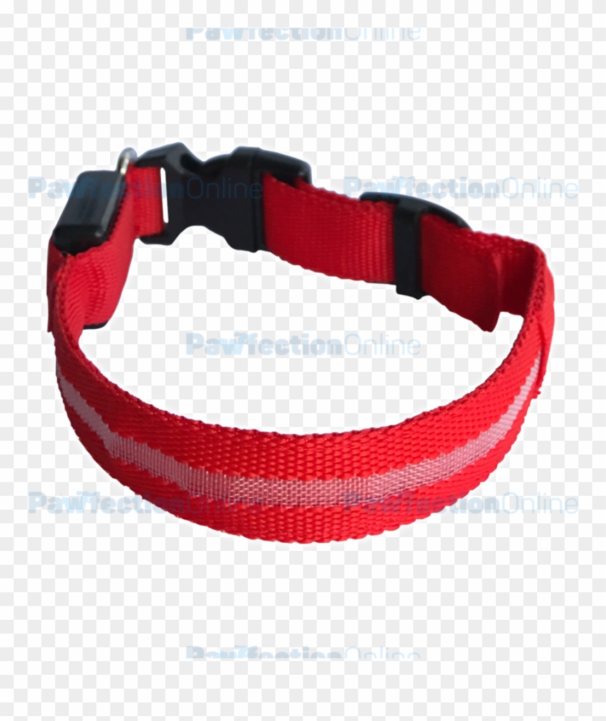 Collars Pendants Pawfectiononline Durable Clipart