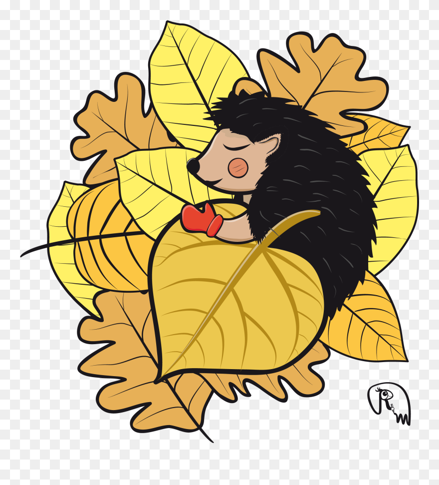 Igel Winterschlaf Png Clipart
