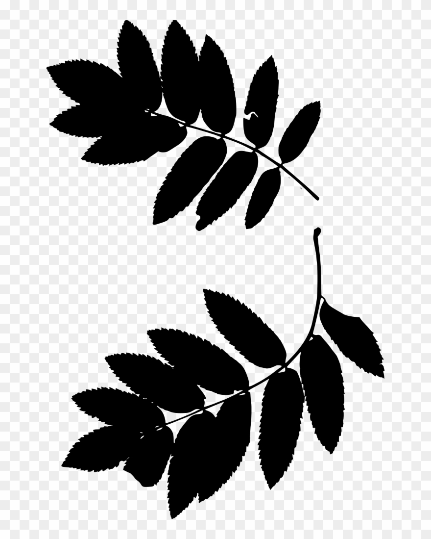 Info Clipart