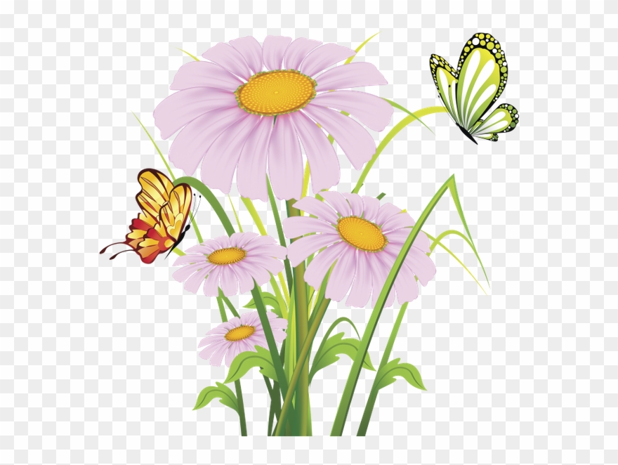 Ромашка Полевая, Бабочка, Цветы Clipart