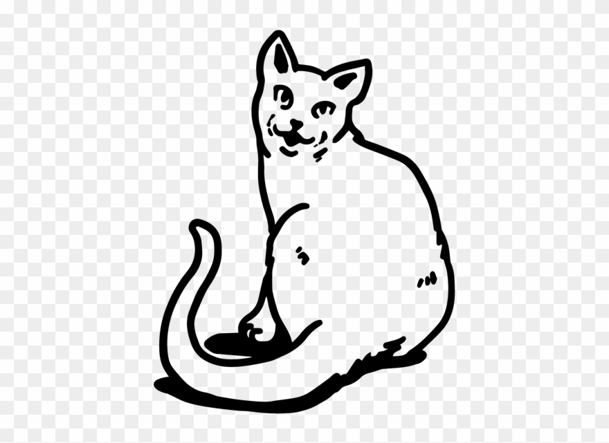 Wandtattoo Chartreux Katze Kätzchen Pfoten Tiere Tür Clipart