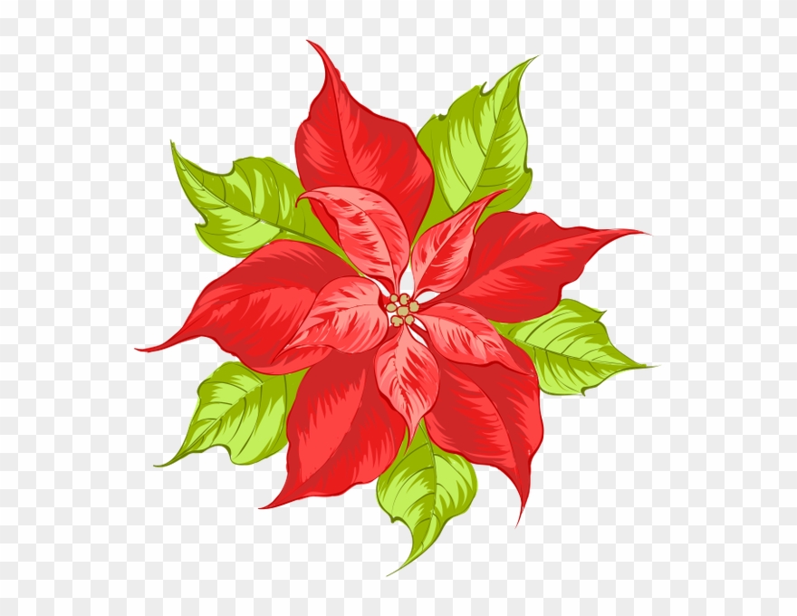 Цветы, Красный Цветок, Flowers Clipart