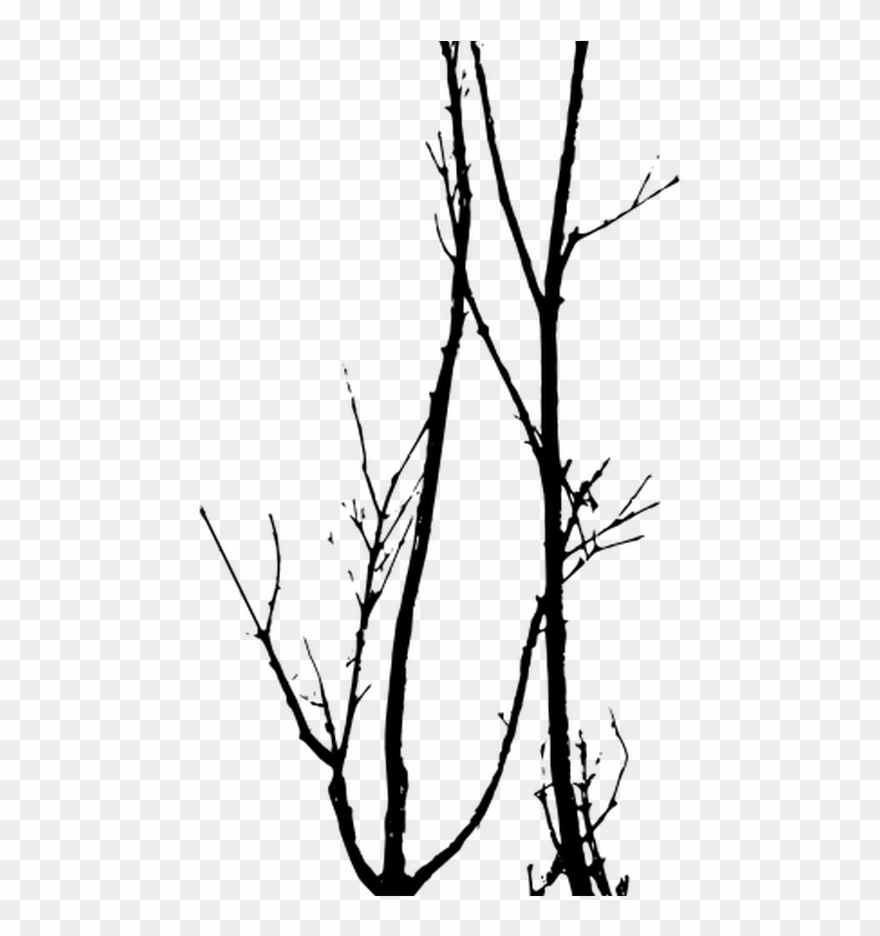 Dead Trees Vector Tree Silhouette Photoshop Pinterest Clipart