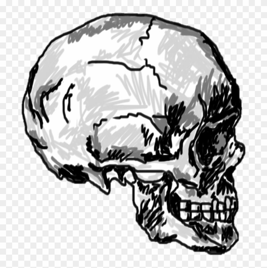 Transparent Skull Clipart