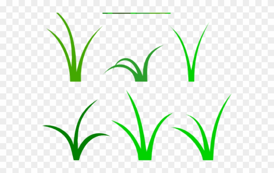 Sea Grass Clipart Tuft Grass - Png Download