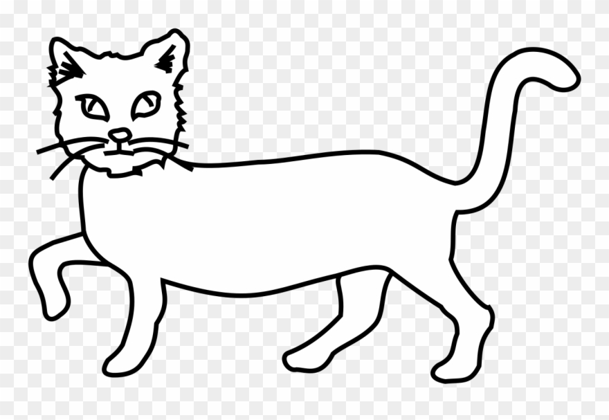 Jumping Cat Images Clipart