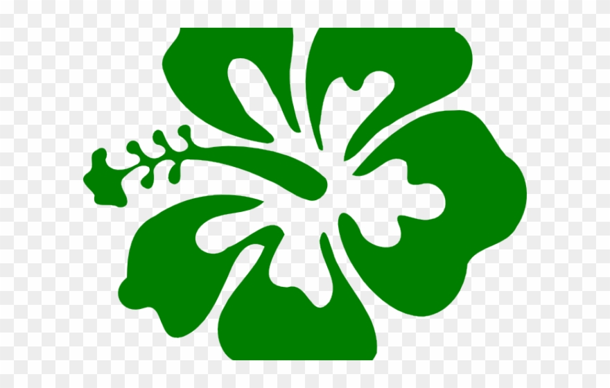 Ranuncula Clipart Hawaiian Flower - Png Download