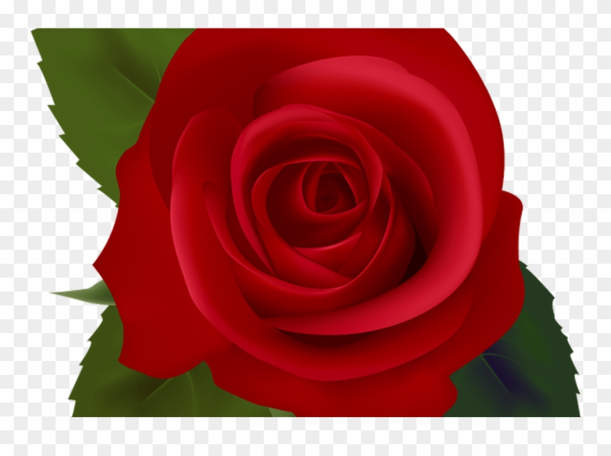 Red Flower Clip Free Download Art On Clip Art Clipartbarn - Png Download