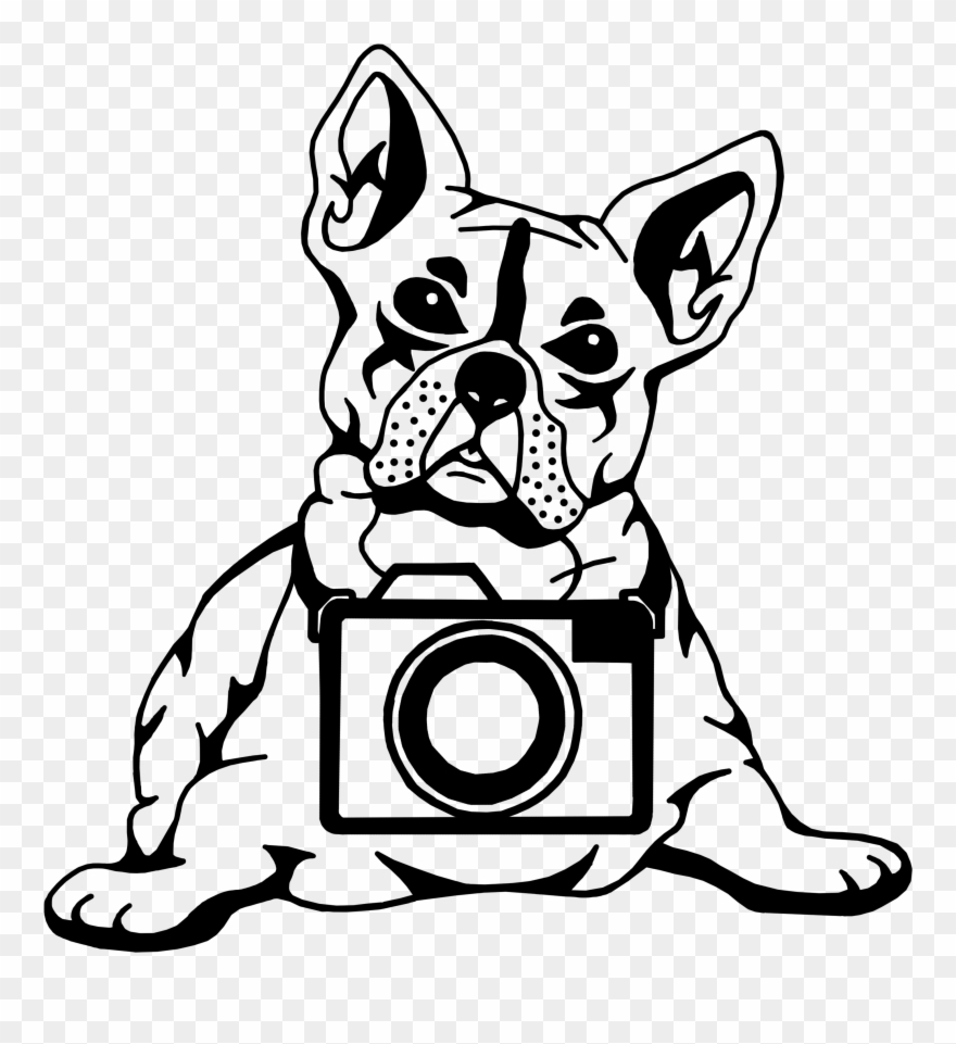 Drawn Bulldog Transparent Clipart