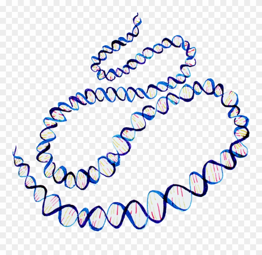 Recently Completed Project Faces Clipart