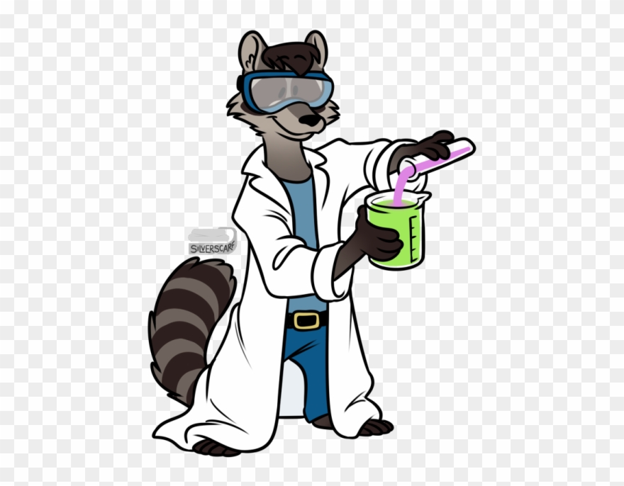 What About A Short Raccoon That Is Always Happy And Clipart