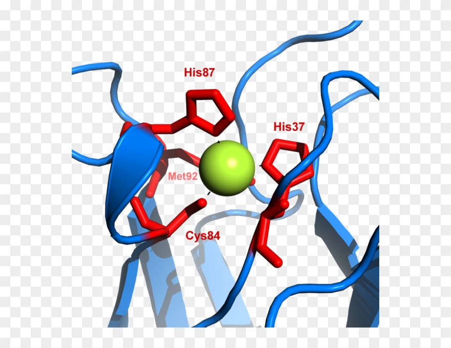 Proteins Produced By The Bacteria Pyrococcus Furiosus Clipart