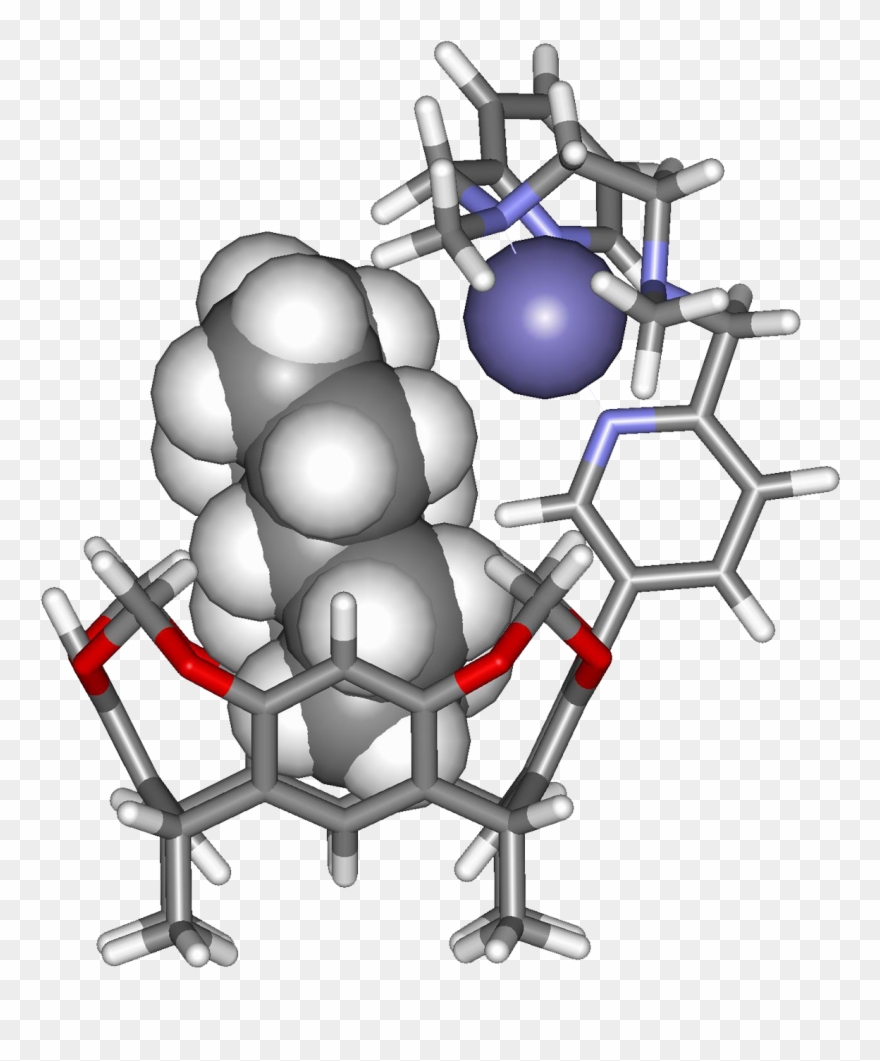 Enzymes Provide A Hydrophobic Pocket For The Binding Clipart