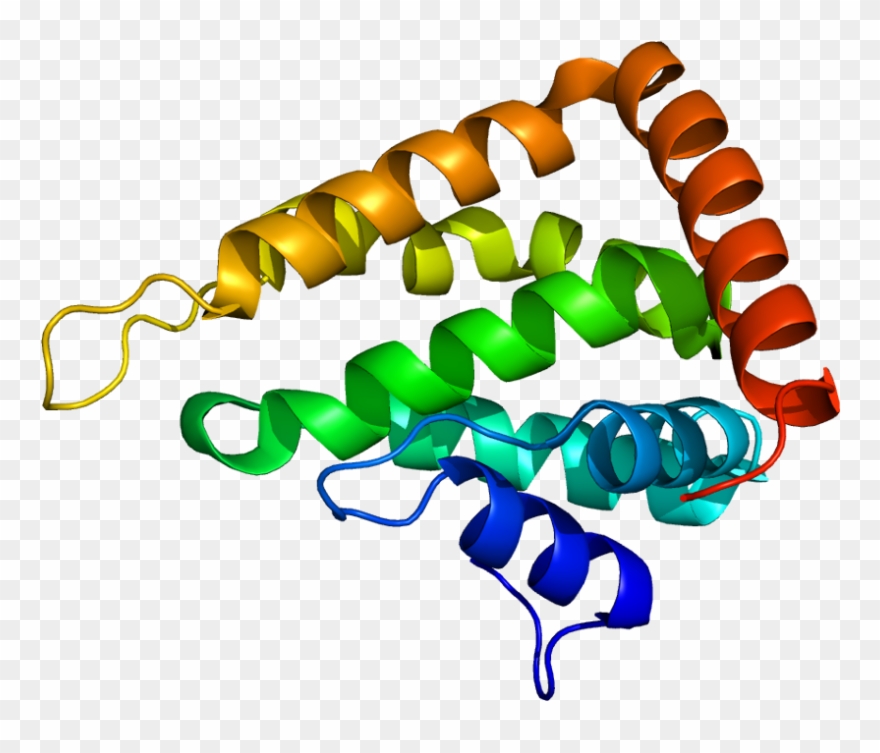 Collection Of Free Appenage Clipart