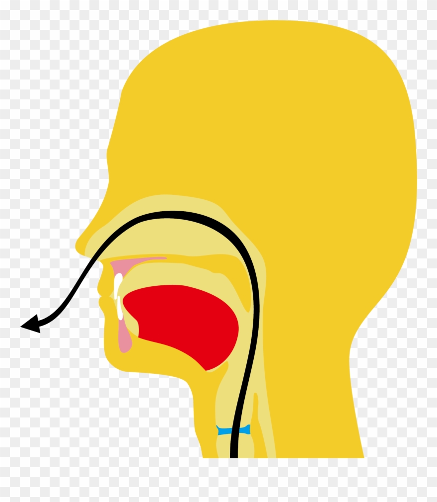 Lsd Visual Sign Language Dictionary Clipart