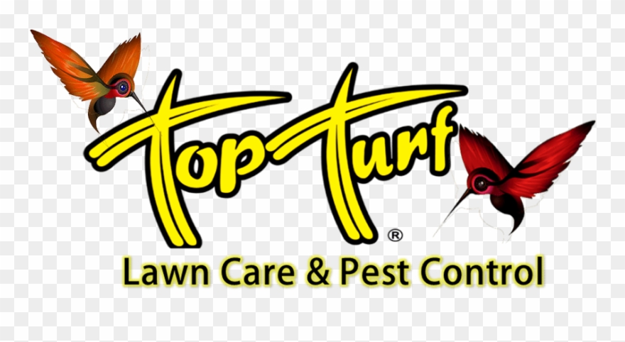Old Top Turf Logo Clipart