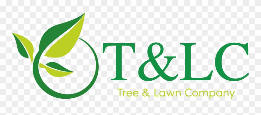 We Offer Reliable And Reputable Lawn Care And Tree Clipart