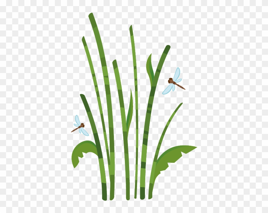 Click Image To Enlarge Clipart