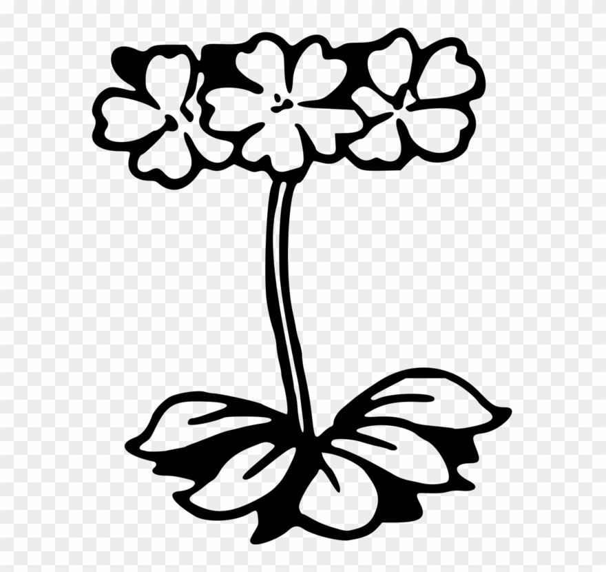 All Photo Png Clipart Transparent Png