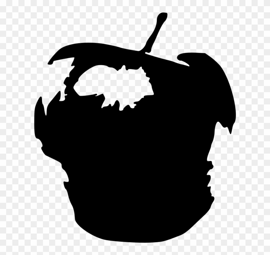 All Photo Png Clipart Transparent Png