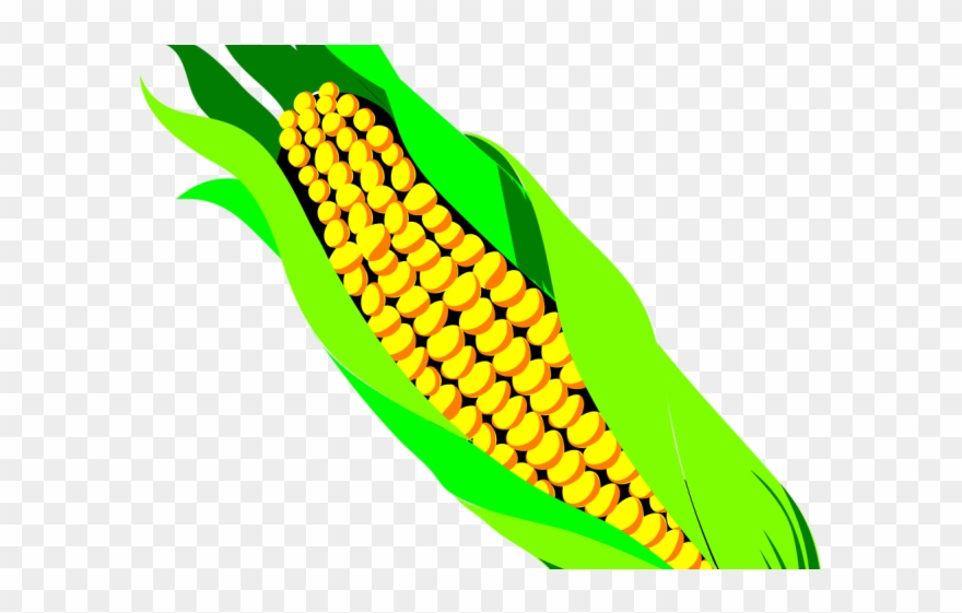 Drawn Korn Transparent Clipart