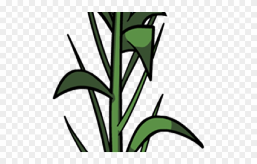 Corn Clipart Corn Leaf - Png Download