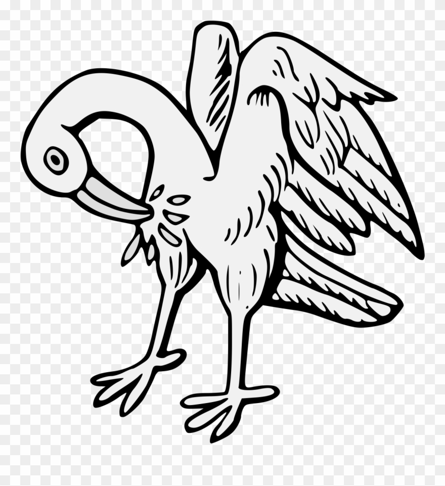 Natural Pelican § Clipart