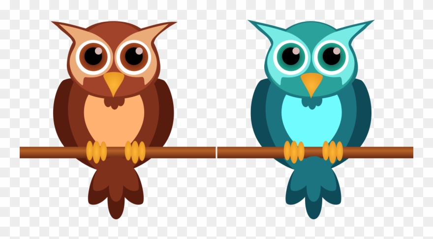 Owl Cute Nocturnal Clipart