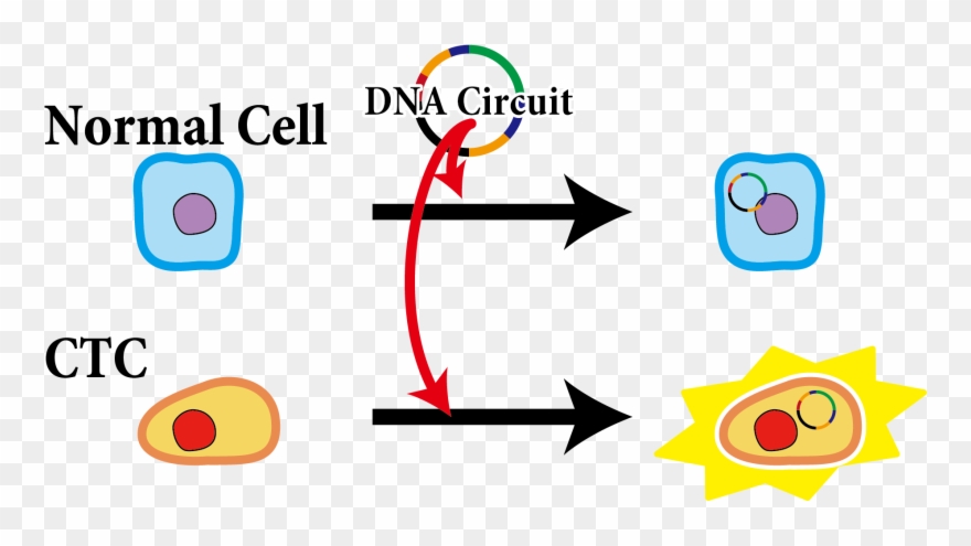 1 The Outline Of Our Method Clipart