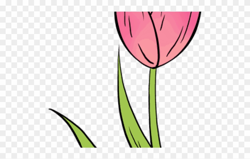 Drawn Tulip Fast Clipart